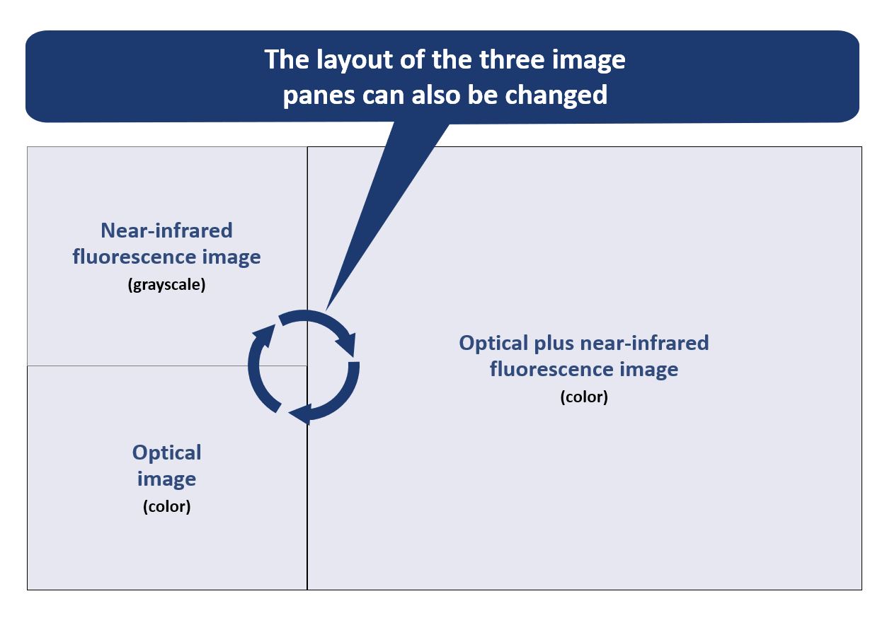 Simultaneous Three-Image Display Provides Clear Understanding at a Glance